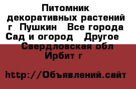 Питомник декоративных растений г. Пушкин - Все города Сад и огород » Другое   . Свердловская обл.,Ирбит г.